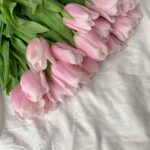 Clean Laundry Air Scent Refill - Image 4