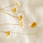 Sleep Air Scent Refill - Image 3